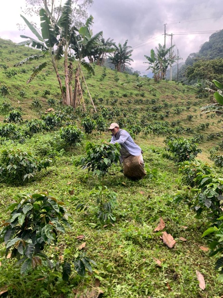 Первые по качеству