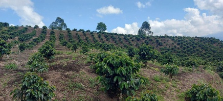 Первые по качеству