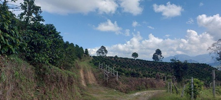 Первые по качеству