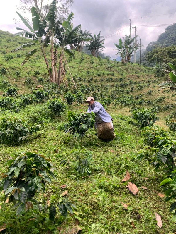 Первые по качеству